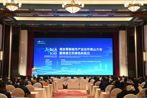 海絲零碳城市產(chǎn)業(yè)合作青山大會(huì)在溫州召開